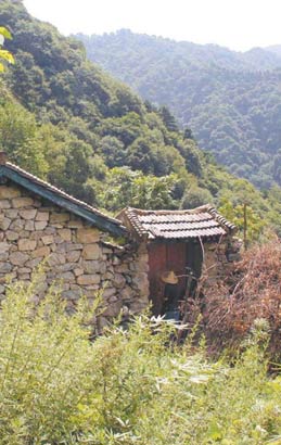 終南山成為隱修勝地 山中隨意搭茅蓬無人干涉