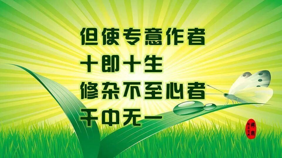 这段法语,善导大师教导我们,如何在临终如理如法念佛往生极乐世界.