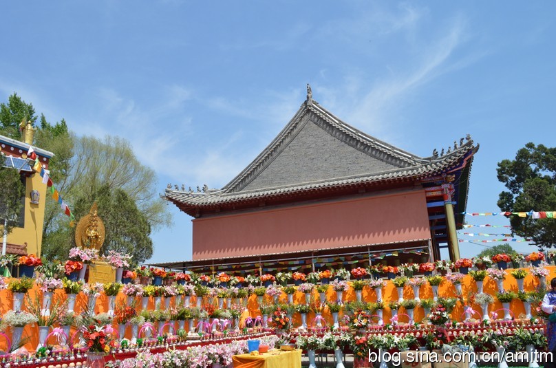 妙吉寺：妙吉寺第四屆十萬束鮮花供佛法會盛況