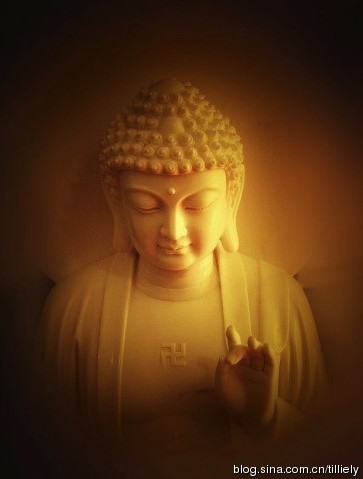 淨土法門：命里有時終須有，命里無時莫強求
