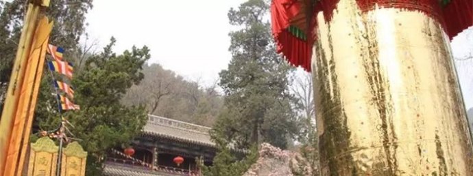 獨尊湛現：在初學期間一定要選擇正確的方式