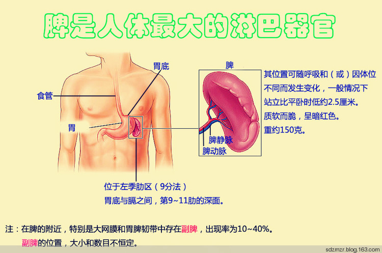 脾衰比腎虛更可怕