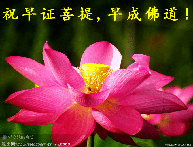 為什麼善良的人反而磨難多？