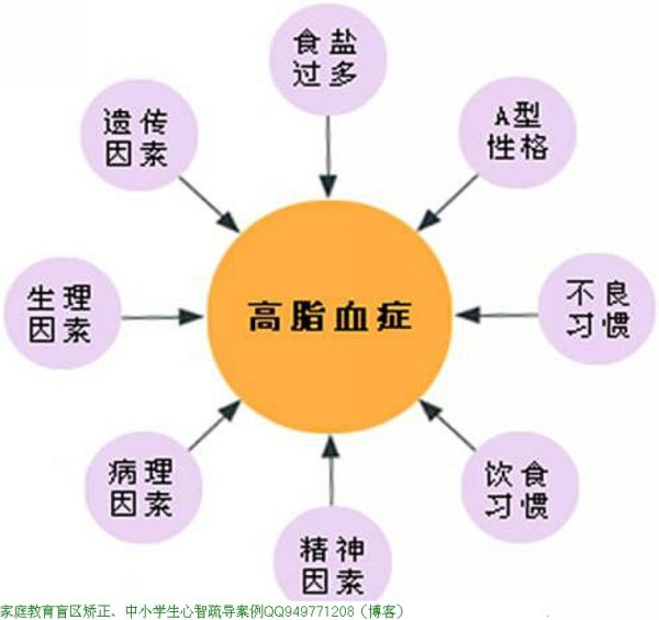 血管是如何一天天堵塞的