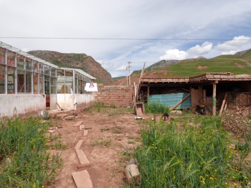 藏區那些貧困失學的孩子們