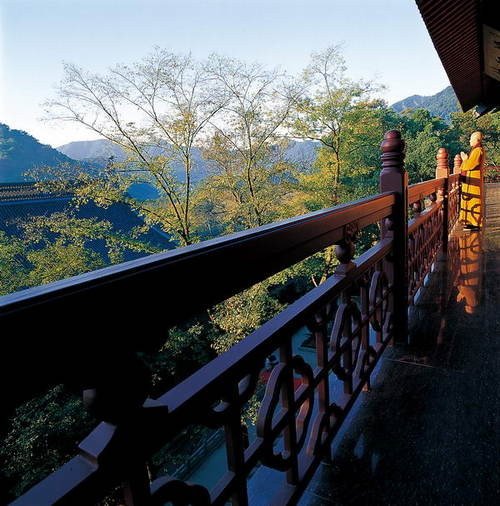 心靈深處的菩提樹，誰是你的有緣人