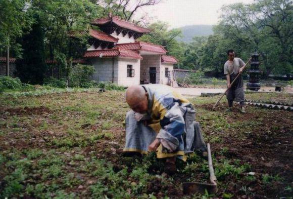 宏琳法師：傳臨濟宗第四十四世體光本達禪師真贊