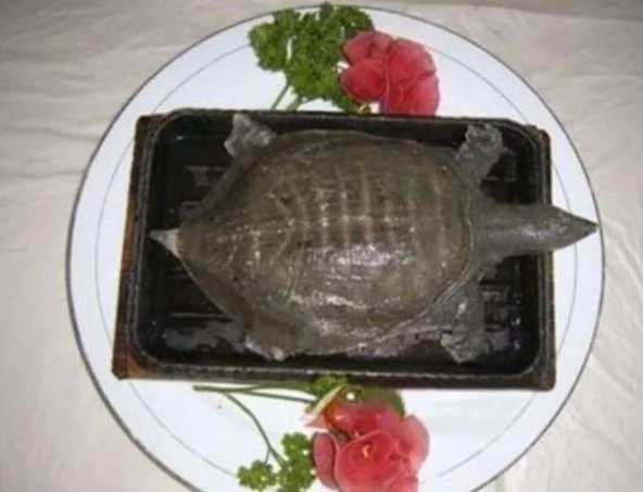 盤點最殘忍的十二大菜餚 盤點最殘忍的十二大菜餚