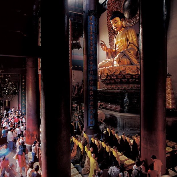 心靈深處的菩提樹，誰是你的有緣人