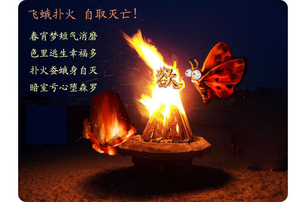 圖文告訴你手淫自慰的罪業，比一般的邪淫，要惡毒十倍不止!