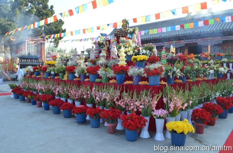 妙吉寺：妙吉寺第四屆十萬束鮮花供佛法會盛況
