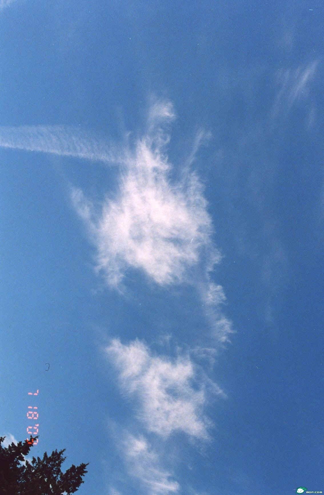 【轉】極其罕見的佛菩薩顯聖真實照片 視頻：見者信心大增