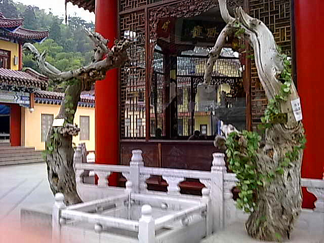 難得難忘：昭明寺參學記（下）