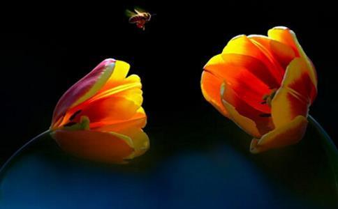 慈悲的巨大力量 慈悲的巨大力量