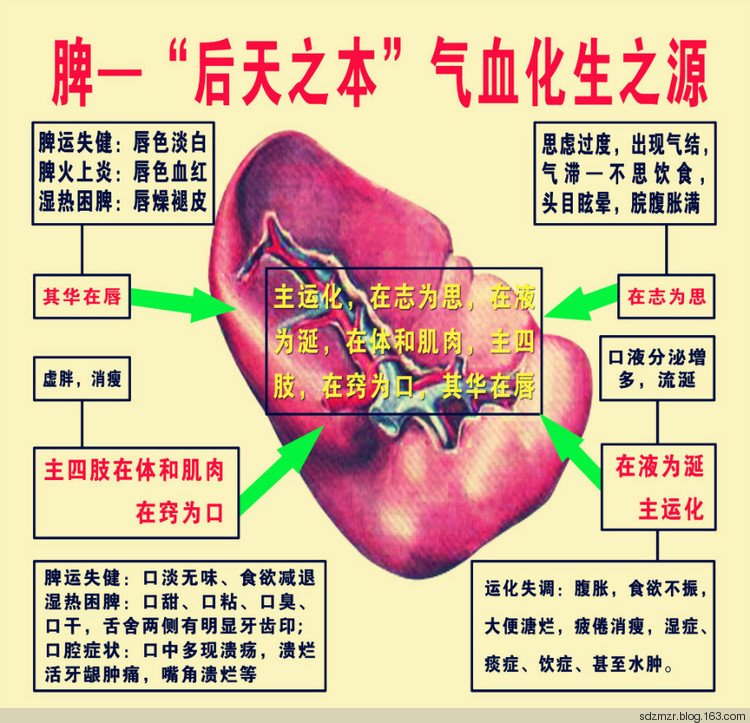 脾衰比腎虛更可怕