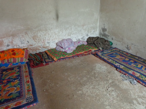 藏區那些貧困失學的孩子們