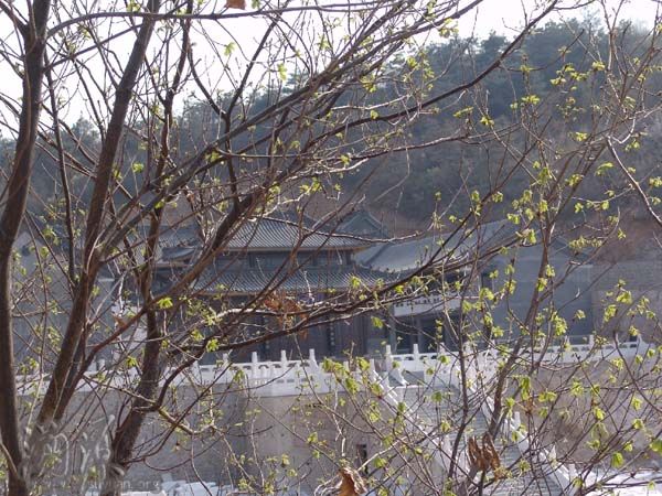 圖文回溯遼寧海城大悲寺之建設、發展歷程