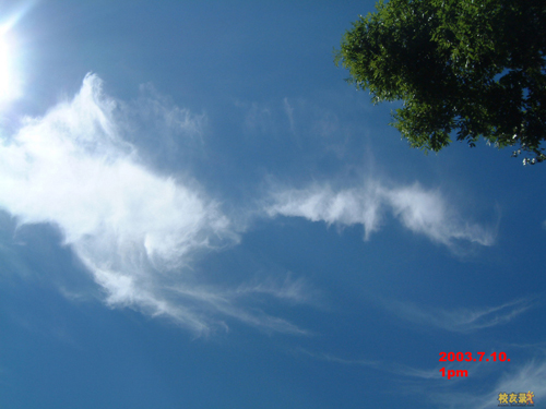 【轉】極其罕見的佛菩薩顯聖真實照片 視頻：見者信心大增