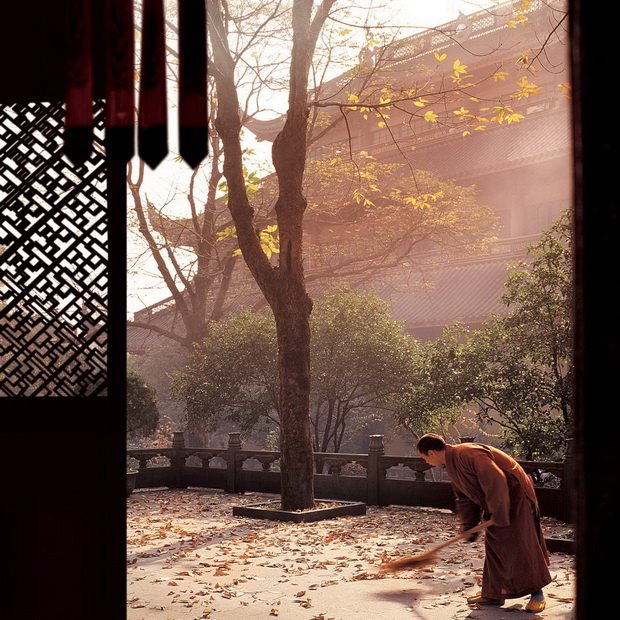 心靈深處的菩提樹，誰是你的有緣人