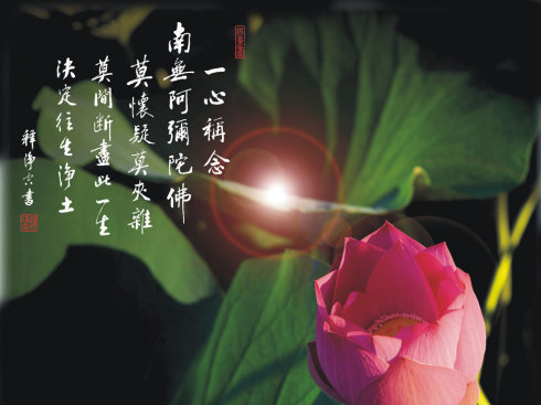 不該被遺忘的念佛生西典範:王維義老居士 不該被遺忘的念佛生西典範:王維義老居士