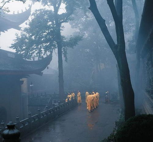 心靈深處的菩提樹，誰是你的有緣人