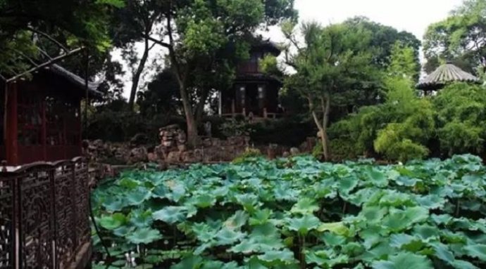 獨尊湛現：父母的養育之恩永生難報，天經地義