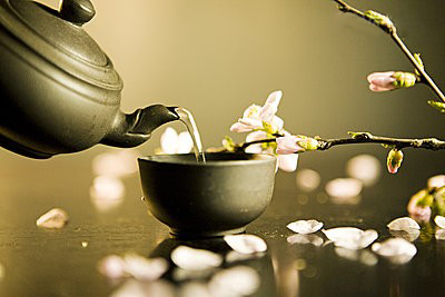 手的驚人秘密——掌心的八卦圖