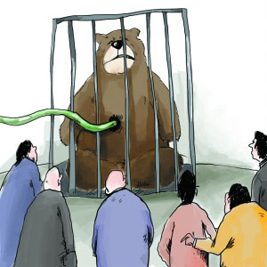 姚明楊瀾等28位名人又一撥聯名反對活熊取膽