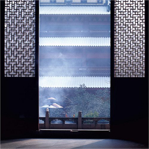 心靈深處的菩提樹，誰是你的有緣人