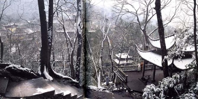 心靈深處的菩提樹，誰是你的有緣人