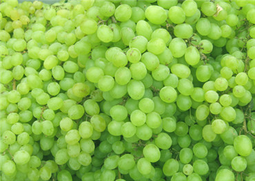 葡萄乾的八大神奇功效