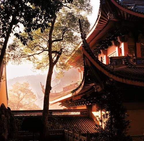 心靈深處的菩提樹，誰是你的有緣人