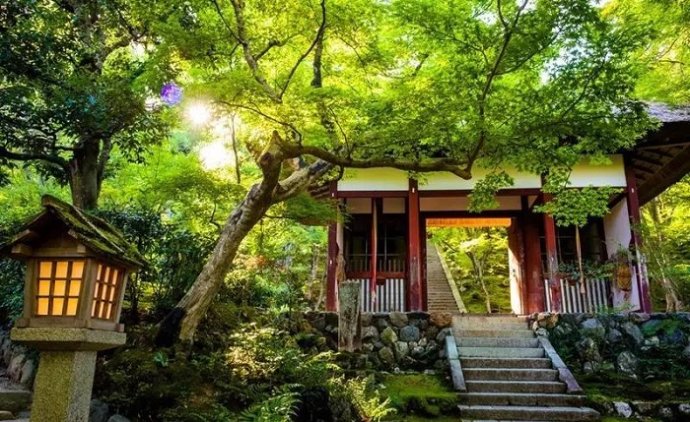 獨尊湛現：不要把那些「顯相」當成神話，沒有絲毫意義
