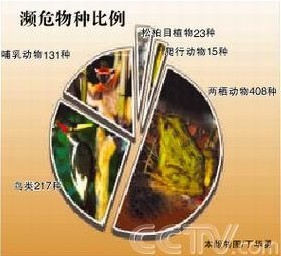蒼天有淚：世界即將絕種瀕危物種全程記實