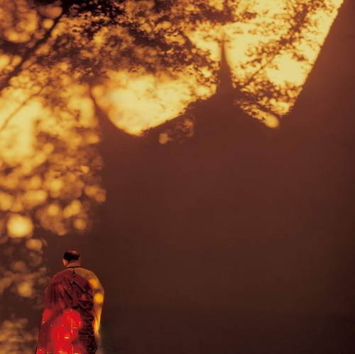 心靈深處的菩提樹，誰是你的有緣人