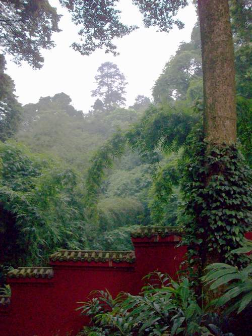 峨眉山擷影之一：報國寺和伏虎寺