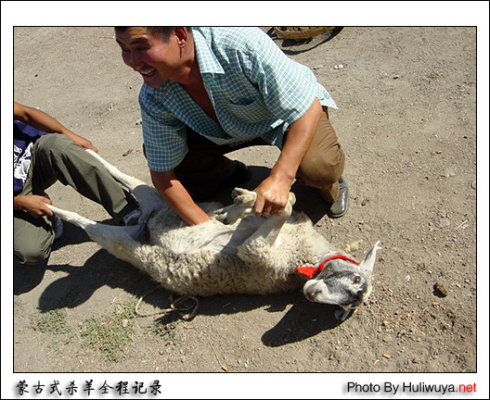 這就是同修們津津樂道的三淨肉，看完心碎了—動物們的悲歌