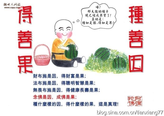 欺善之人天地難容，台灣法官的真實工作見聞