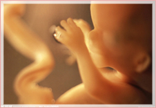海濤法師：免費為墮胎的嬰兒超渡設立牌位