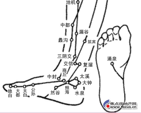 太溪穴—人體第一大補穴