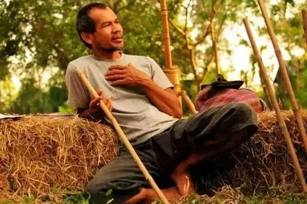 幸福如此簡單：一個泰國農民的人生哲學