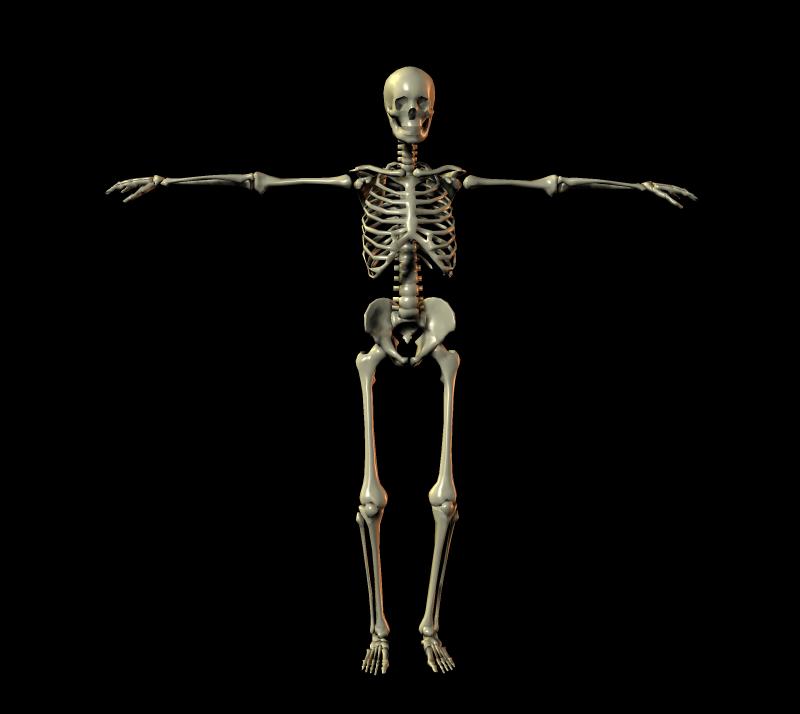 白骨觀圖文（不喜莫入）