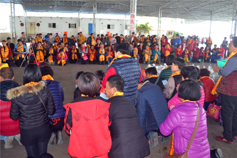 學佛網2月10日汕尾海鮮大放生圖片紀實，請進來隨喜和回向