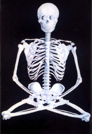 白骨觀圖文（不喜莫入）