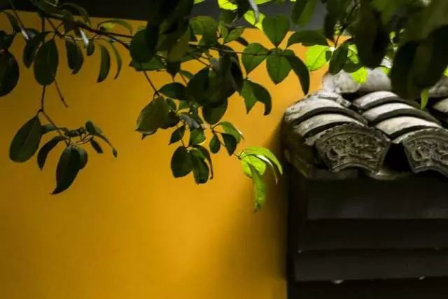 佛教為什麼要修建那麼多的寺院？