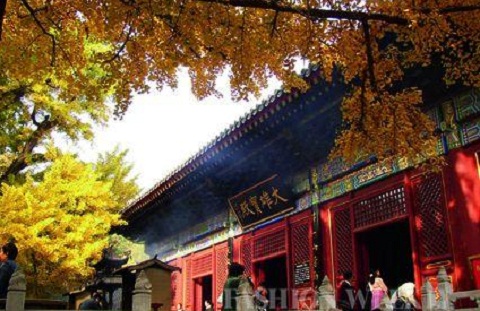 雍和宮的歷史：一座皇家寺院