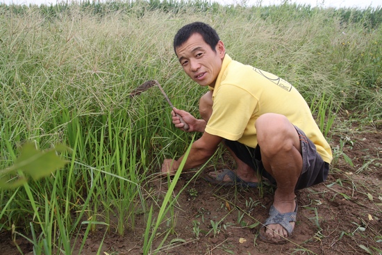 柏林禪寺方丈明海大和尚推薦的中國第一農民安金磊