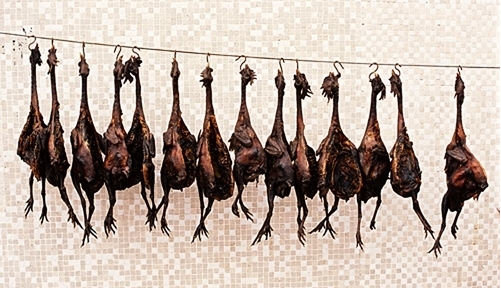 盤點最殘忍的十二大菜餚 盤點最殘忍的十二大菜餚