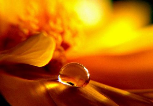 海濤法師：治癌症的經典：《佛說療痔病經》