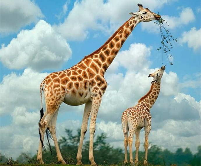 改命，永遠從孝順父母開始!【內附28種孝順父母的溫暖方式】